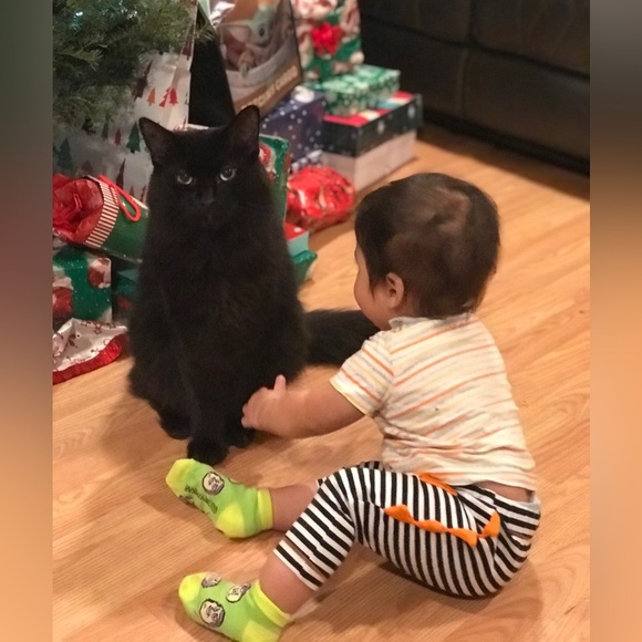 Diva Dee Bundles LIVE! 🌹Like this to be notified! 🌹 - Picture 16 of 16